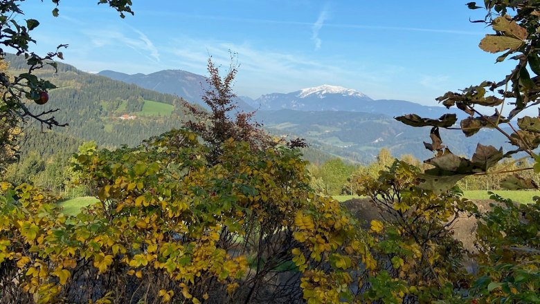 Blick zum Schneeberg direkt vom Haus, © Wiener Alpen Blick auf den Schneeberg in der Ferne, umgeben von herbstlichen Bäumen und Sträuchern im Vordergrund.