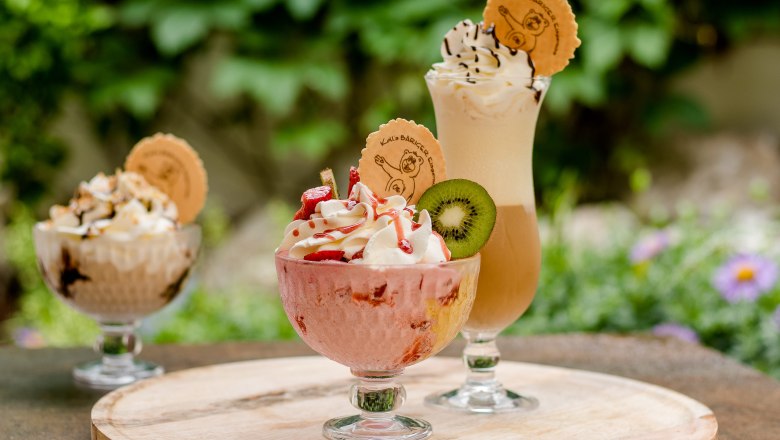 Eis, © Koll GmbH Eis, © Koll GmbH