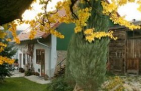 Viragos Vendégház, © Viragos Vendégház Ein gemütliches Gästehaus mit Garten im Herbst, umgeben von gelben Blättern und Bäumen.