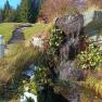 Herbst in Mönichkirchen, © Glamping-Park Mönichkirchen OG Kleiner Wasserfall in herbstlicher Landschaft mit Bäumen und blauem Himmel.