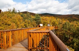 Baumwipfelweg Althodis, © Unknown Baumwipfelweg Althodis, © Unknown