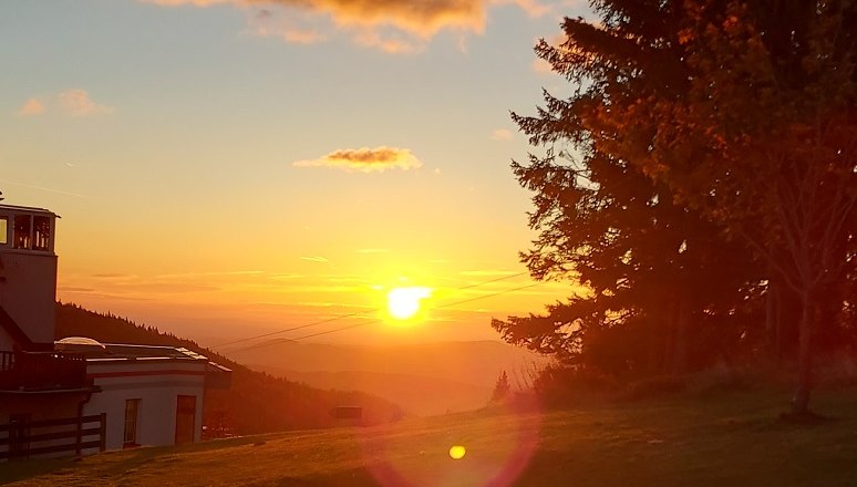 Pension Koderholt, © Koderholt Sonnenuntergang über einer Wiese mit Holztisch und Bank, Bäume und Gebäude im Hintergrund.