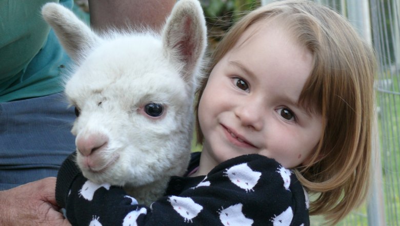 Alpacák a Wachabauer farmon, © Wachabauer Egy kislány egy fehér alpakát ölelget.