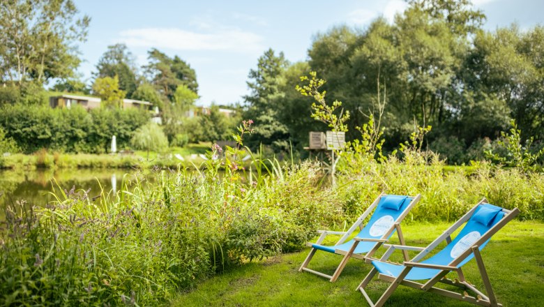 Sommerfrische beim Triad, © Wiener Alpen/Martin Fülöp Zwei blaue Liegestühle auf einer Wiese am Ufer eines Teiches, umgeben von grüner Vegetation.