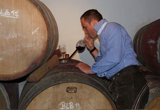 Weinbau Gmeiner, © Christian Gmeiner Weinbau Gmeiner, © Christian Gmeiner