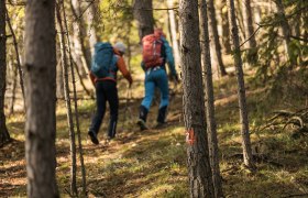Wandern am Alpannonia Weitwanderweg, © Wiener Alpen in Niederösterreich - Alpannonia Wandern am Alpannonia Weitwanderweg, © Wiener Alpen in Niederösterreich - Alpannonia
