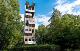 Hölzener Aussichtstrum umgeben von Bäumen.