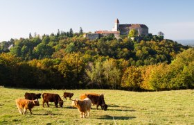 Burg Bernstein, &copy; Walter Laschober