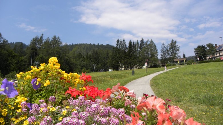 Bunte Blumen im Vordergrund, ein Weg f&uuml;hrt durch eine gr&uuml;ne Wiese, umgeben von B&auml;umen unter blauem Himmel.