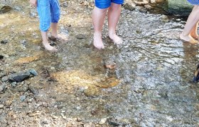 Menschen stehen barfuß in einem flachen Bach.