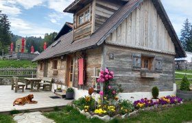 Eine rustikale Holzh&uuml;tte mit Blumenbeet und einem Hund auf der Terrasse, umgeben von gr&uuml;ner Landschaft und roten Sonnenschirmen.