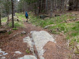 am R&ouml;merweg, &copy; Walter Laschober
