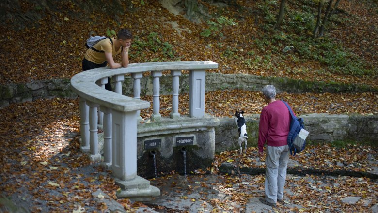 HÉTFORRÁS, © Írottkő Natúrpark