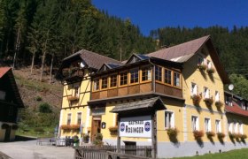 Ein gelbes Gasthaus mit Holzveranda und Blumenkästen, umgeben von Wald.