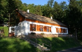Ein wei&szlig;es Haus mit Holzfensterl&auml;den in einem Waldgebiet.
