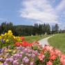 Bunte Blumen im Vordergrund, ein Weg f&uuml;hrt durch eine gr&uuml;ne Wiese, umgeben von B&auml;umen unter blauem Himmel.