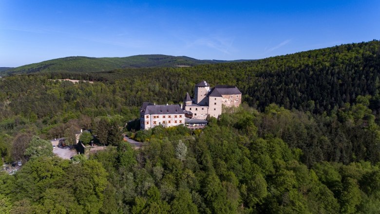 Luftaufnahme von einer mittelalterlichen Burg inmitten eines gr&uuml;nen Waldes.