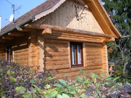 Blockhütte mit Holzwänden und Satteldach, umgeben von Pflanzen.