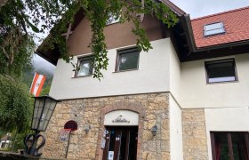 A Villa Wellspacher homlokzata osztr&aacute;k z&aacute;szl&oacute;val &eacute;s kos&aacute;rlabdapal&aacute;nkkal.