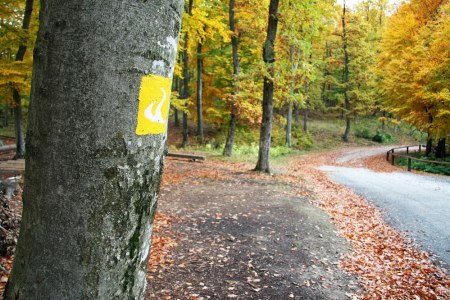 Gelbe Wegmarkierung, © Walter Laschober