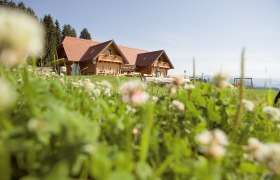 Holzhaus auf einer Wiese mit Blumen im Vordergrund.
