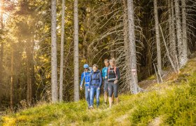 Wandern am Alpannonia Weitwanderweg, © Wiener Alpen in Niederösterreich - Alpannonia