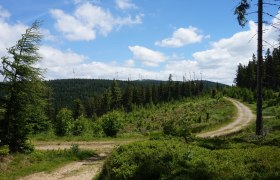 alpannonia - Region&aacute;lis &uacute;tvonal patk&aacute;nyok, &copy; Wiener Alpen in Nieder&ouml;sterreich - Alpannonia