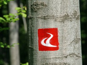 Markierung alpannonia-Hauptweg, &copy; Walter Laschober