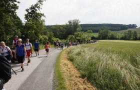 alpannonia - Regionale Route Bad Tatzmannsdorf - Aschau, © Wiener Alpen in Niederösterreich - Alpannonia
