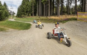 Kinder fahren auf Mountaincarts einen Weg entlang.