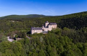 Luftaufnahme von einer mittelalterlichen Burg inmitten eines grünen Waldes.