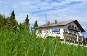 Gasthaus 3-L&auml;nderblick egy r&eacute;t m&ouml;g&ouml;tt, a h&aacute;tt&eacute;rben f&aacute;kkal.