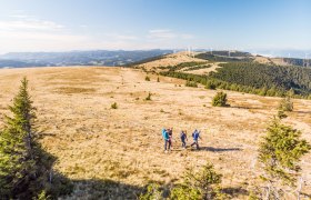 Wandern am Alpannonia-Weg, © Wiener Alpen, Martin Fülöp
