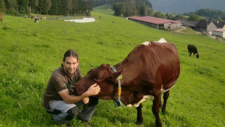 Ein Mann kniet auf einer grünen Wiese und streichelt eine braune Kuh.