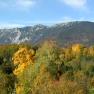 Herbstliche Landschaft mit bunten B&auml;umen und Berg im Hintergrund.