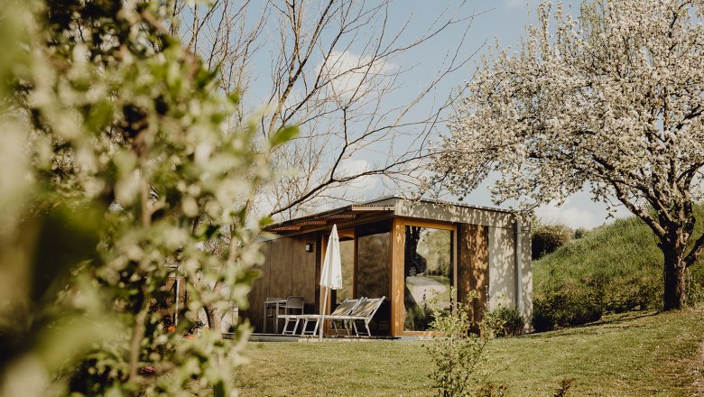 Kleines modernes Gebäude in einem Garten mit blühenden Bäumen und Liegestühlen.
