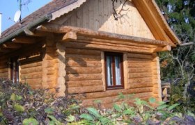 Blockhütte mit Holzwänden und Satteldach, umgeben von Pflanzen.