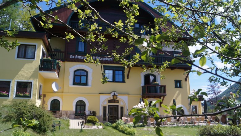 Gartenansicht Hotel Belvedere, © Hotel Belvedere Gartenansicht des Hotel Belvedere mit gelber Fassade und blühenden Bäumen im Vordergrund.