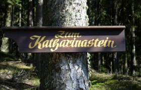 Holzschild, an einem Baumstamm befestigt, mit der Aufschrift 'Zum Katharinenstein'.