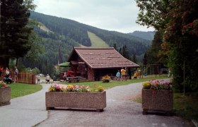 Eine Bergh&uuml;tte in einer gr&uuml;nen, bewaldeten Landschaft mit Blumen im Vordergrund.