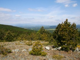 Kis Plyscha, &copy; Walter Laschober