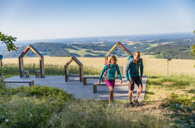 Hutwisch in der Buckligen Welt, © Wiener Alpen, Martin Fülöp