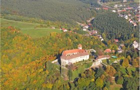 Luftaufnahme der Burganlage umgeben von herbstlichem Wald.