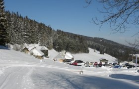 Verschneite Landschaft mit Hütten und parkenden Autos bei Steyersberger Schwaig.