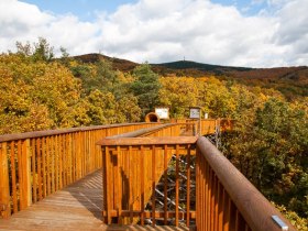 Baumwipfelweg Althodis, © Unknown