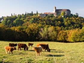 Burg Bernstein, © Unknown