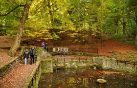 Menschen stehen im herbstlichen Wald bei einer Quelle.