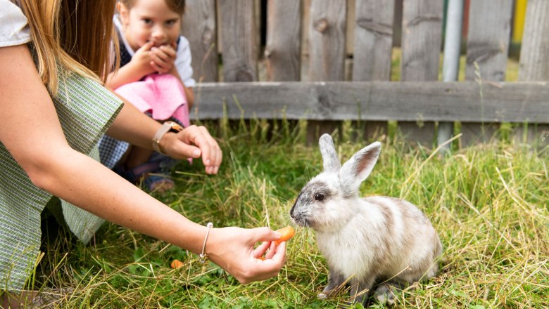 Ein Mädchen füttert ein Kaninchen mit einer Karotte, während ein zweites Mädchen zuschaut.