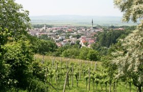 Blick aus den Weinbergen auf einen Ort mit markantem Kirchturm im Hintergrund.