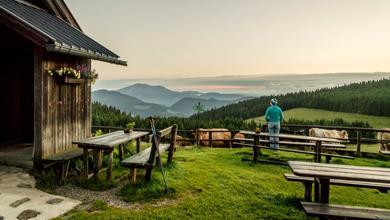 Person genießt den Ausblick von einer Alm mit Holzhütte, Tischen und Bänken, umgeben von Bergen und Wäldern.